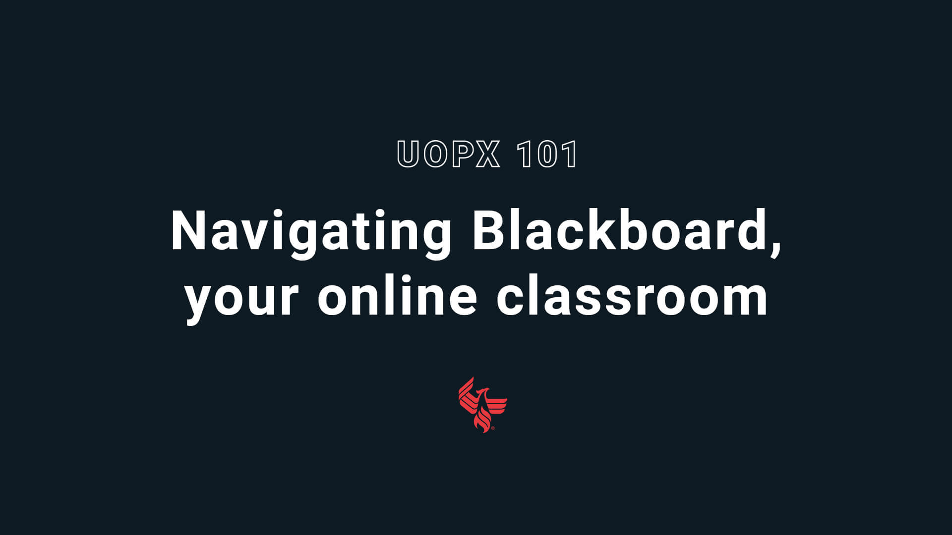 Navigating Blackboard, Your online classroom