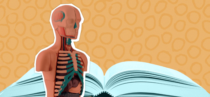 A manakin in front of an open text book to signify careers in nursing education