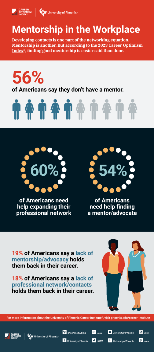 Mentorship in the workplace infographic