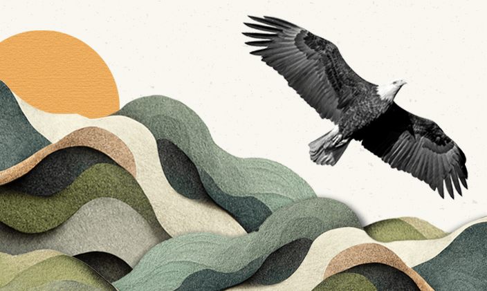 An eagle flying above the mountain tops