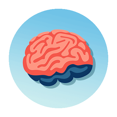 Illustrated icon of brain