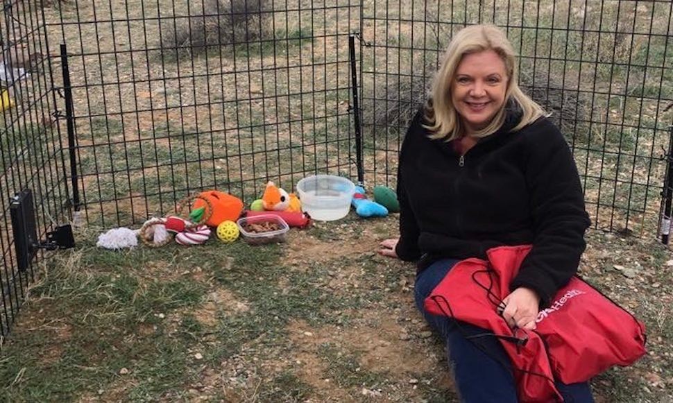 Chief Human Resources Officer Cheryl Naumann sitting in a containment for rescued animals