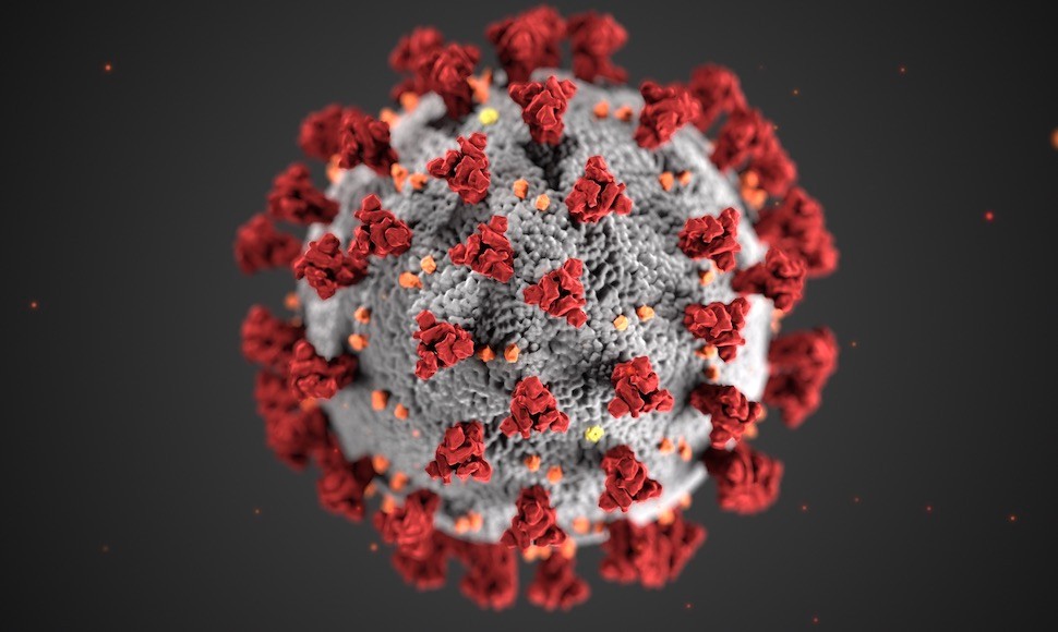 Coronavirus magnification