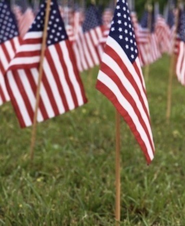 American flags planted in the grass