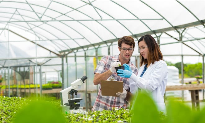 Students taking calculations in a greenhouse