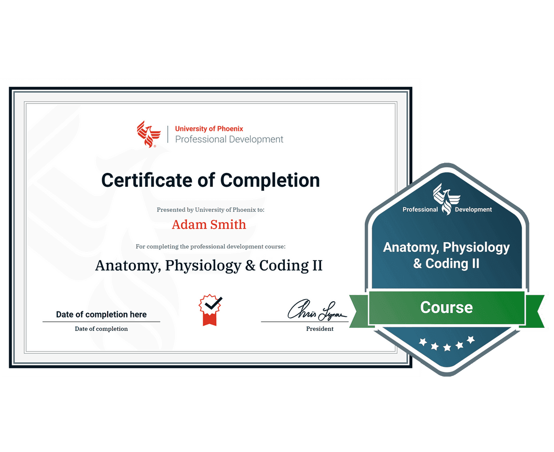 Sample certificate and badge for Anatomy, Physiology and Coding 2 course