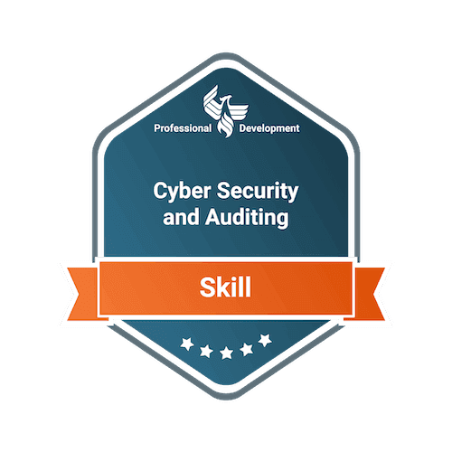 Cyber-Security-and-Auditing.png
