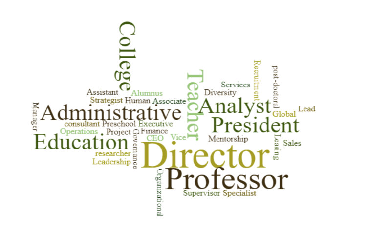 a word cloud of the titles held by conference participants