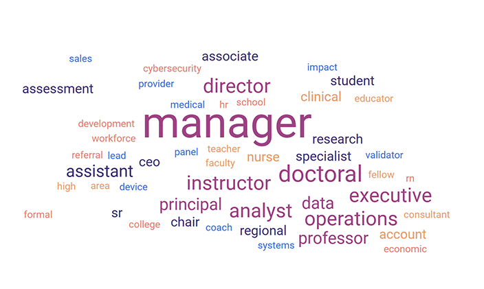 a word cloud of the titles held by conference participants