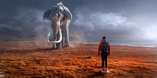 Man standing in front of a large elephant. Surreal imagary