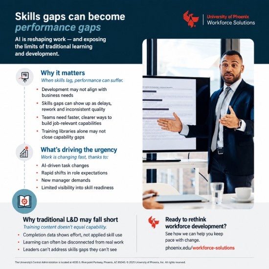 Skills gap performance brief